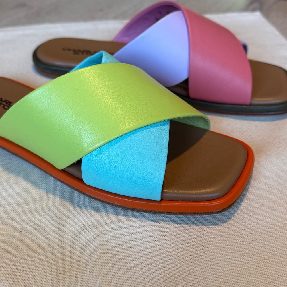 CHARLOTTE STONE Kim Flat Slide Sandals in Nassau Colorway sz 7 EUC - Picture 5 of 11
